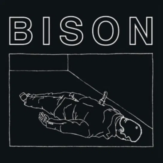 One Thousand Needles Bison