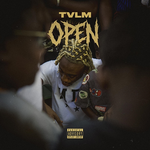 Open TVLM