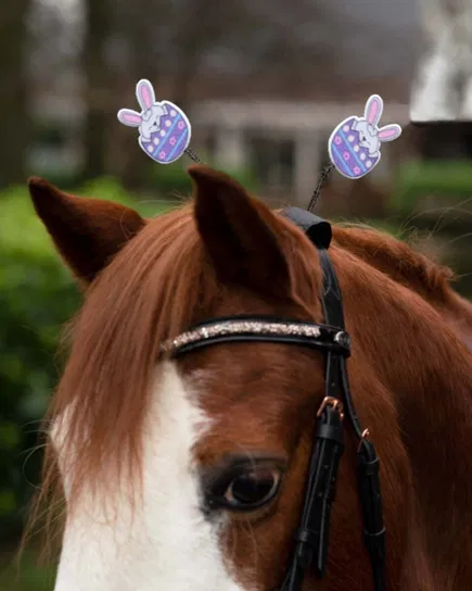 Ozdoba do ogłowia QHP Easter egg Inna marka