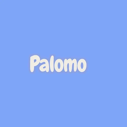 palomo Insane Dj Beats