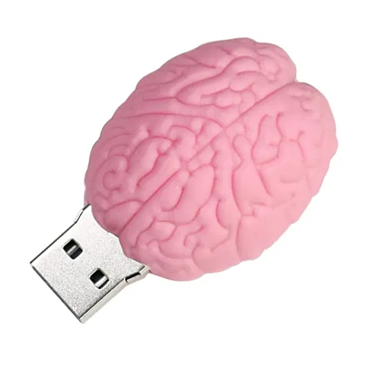 Pendrive DR. MEMORY Mózg, 64GB DIAWAY