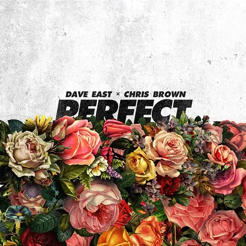 Perfect Dave East feat. Chris Brown