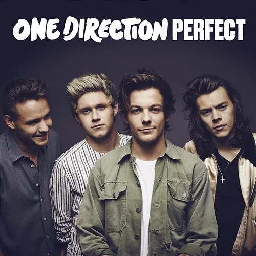 Perfect One Direction