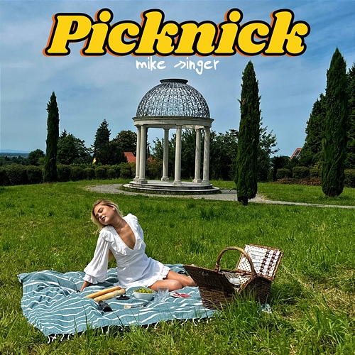 PICKNICK Mike Singer