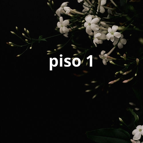 piso 1 Luis M