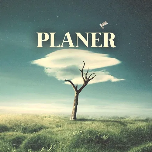 Planer Jaymax