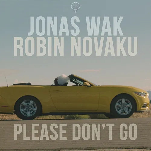 Please Don't Go Jonas Wak, Robin Novaku