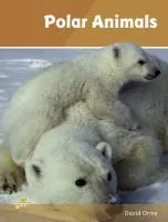 Polar Animals Orme David
