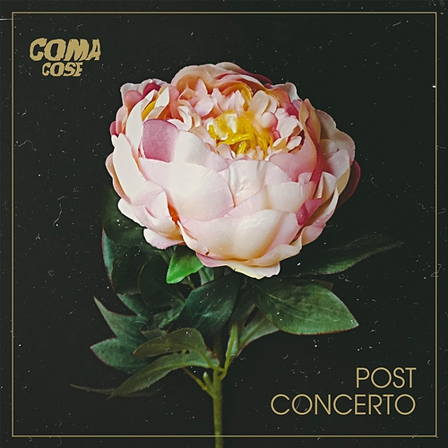 Post concerto Coma_Cose