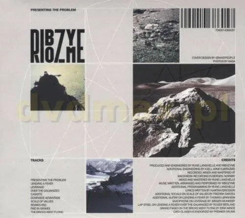 Presenting The Problem Ribozyme