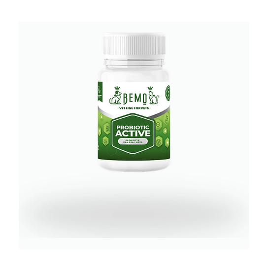Probiotic Active 40 kapsułek BEMO