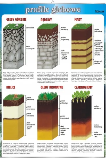 PROFILE GLEBOWE PLANSZA EDUKACYJNA VISUAL SYSTEM VISUAL System