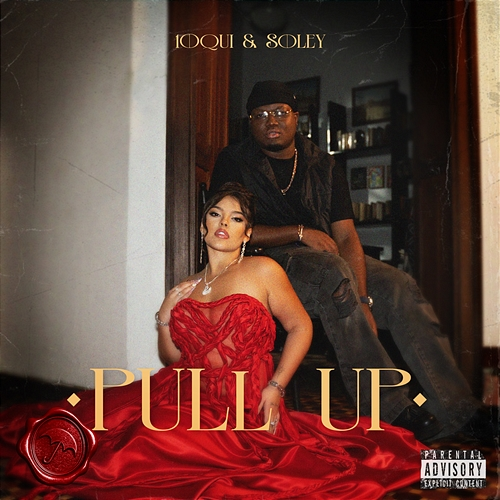 PULL up 10 QUI, Soley