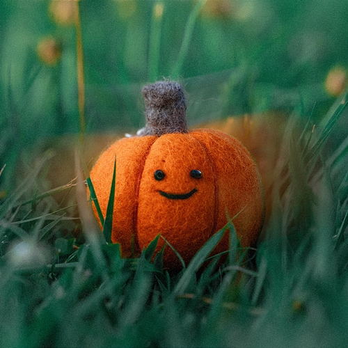 Pumpkin Tree Leenzy, Yang Jung Eun