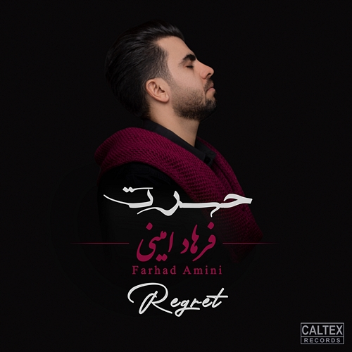 Regret Farhad Amini