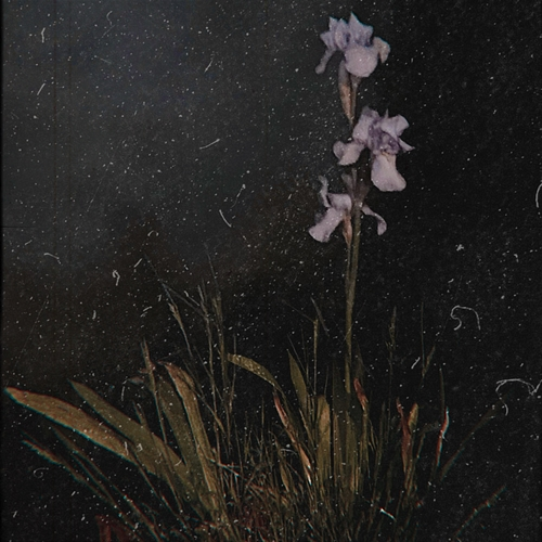 ROT Prodigal