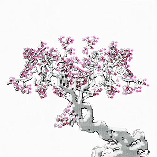 SAKURA Klima, Kasp