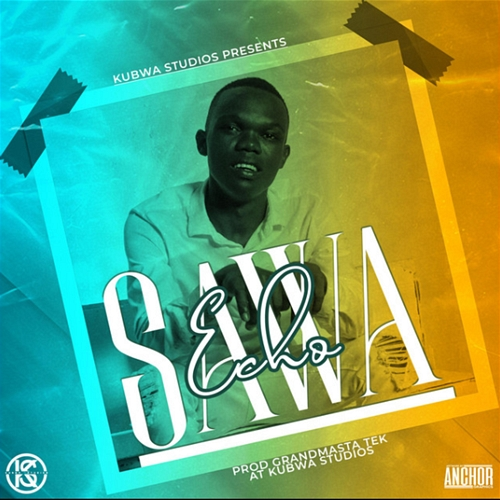 Sawa Echo 254