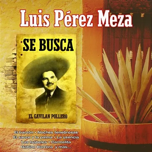Se Busca Luis Pérez Meza