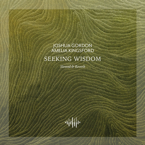 Seeking Wisdom Joshua Gordon, Amelia Kingsford