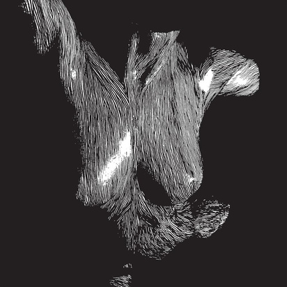 Self Preserved While The Bodies Float Up Oceansize
