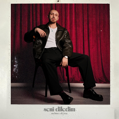 Seni Diledim Mehmet Ali Özay
