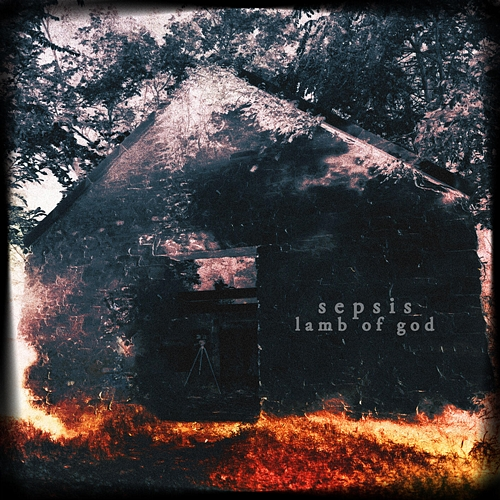 Sepsis Lamb Of God