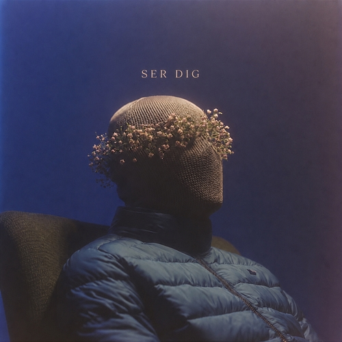 SER DIG Brookz