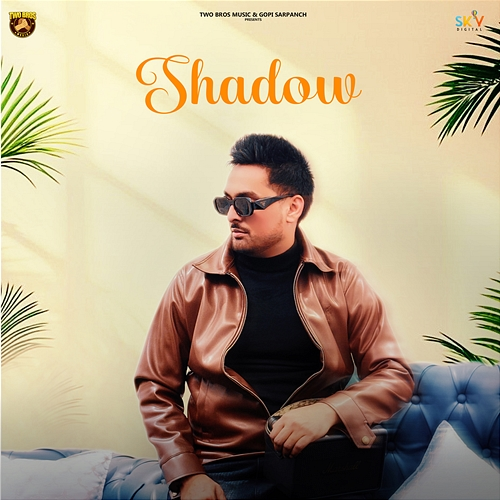Shadow Nav Brar