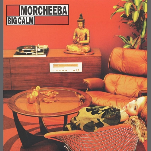 Shoulder Holster Morcheeba