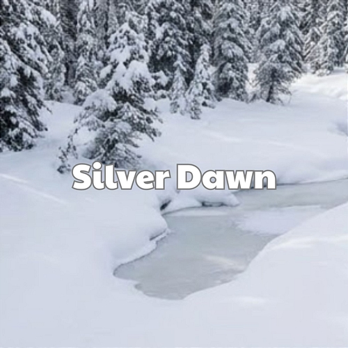 Silver Dawn Rio Hya