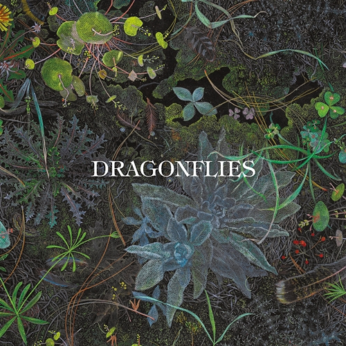 Slower Dragonflies, Dhani Harrison, NIGEL GODRICH