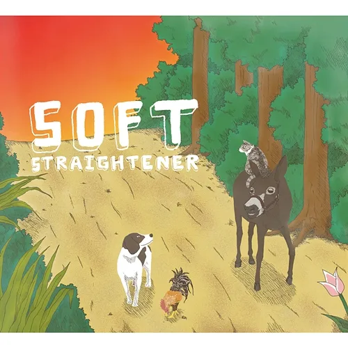 Soft Straightener