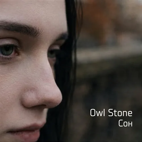 Сон Owl Stone