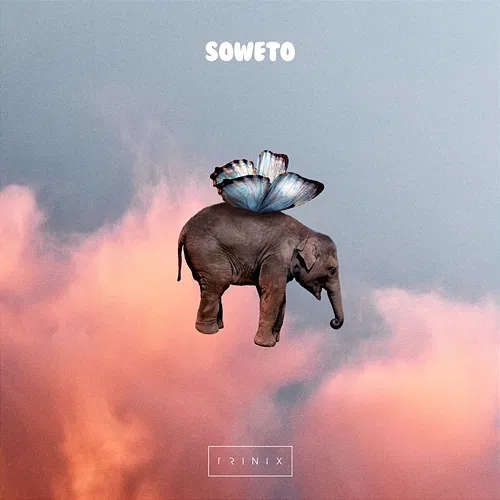 Soweto Trinix