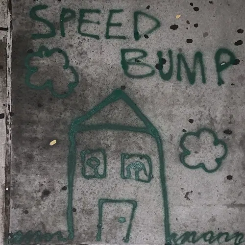 Speed Bump Sawyer Nunes