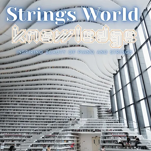 Strings World - Knowledge 5SecondDecider, Jen-Shuo Chen, Jun Li Wang
