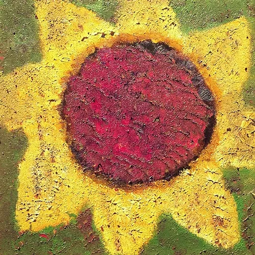 Sunflower Never Shout Never