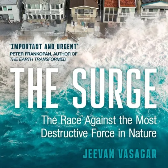Surge - audiobook Jeevan Vasagar