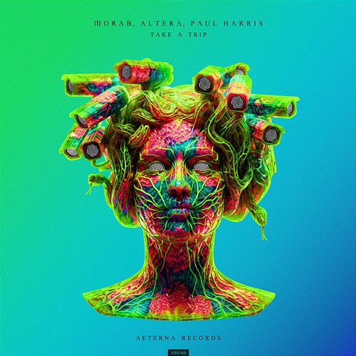 Take a Trip Morab, Altera, Paul Harris