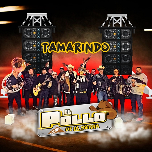 Tamarindo el pollo de la sierra