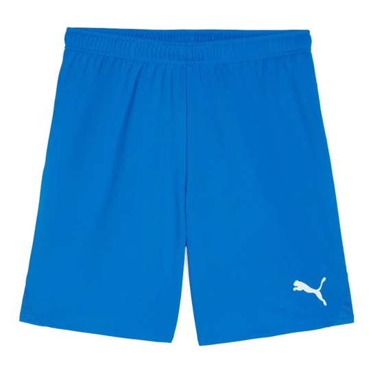 TeamGOAL Puma