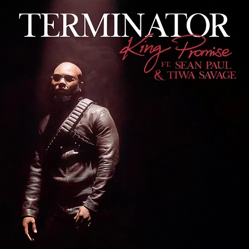 Terminator King Promise, Sean Paul, Tiwa Savage