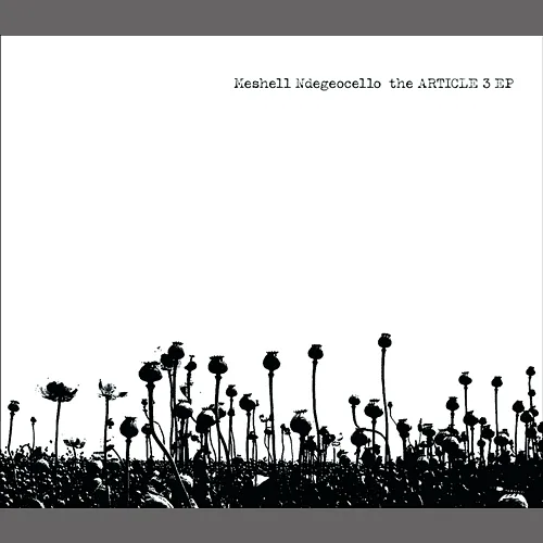 The Article 3 Meshell Ndegeocello