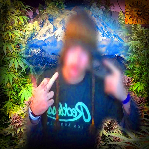 THE PEAK smokedope2016