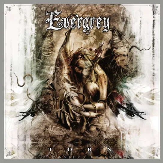 Torn Evergrey