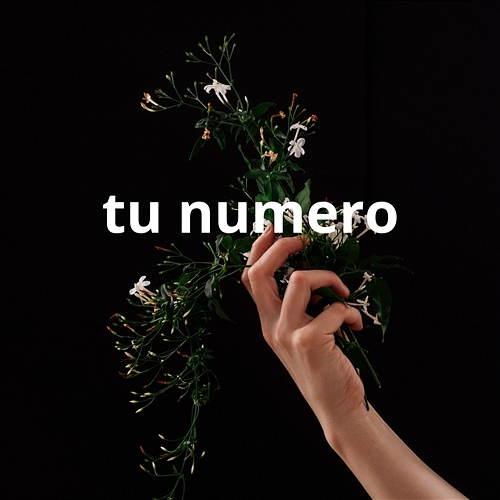 tu numero Luis M