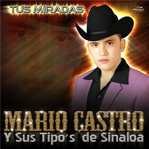 Tus Miradas Mario Castro, Sus Tipos De Sinaloa