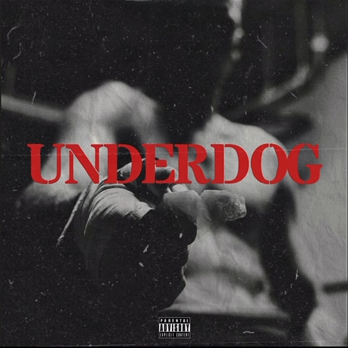 UNDERDOG YOUSSEF GABER