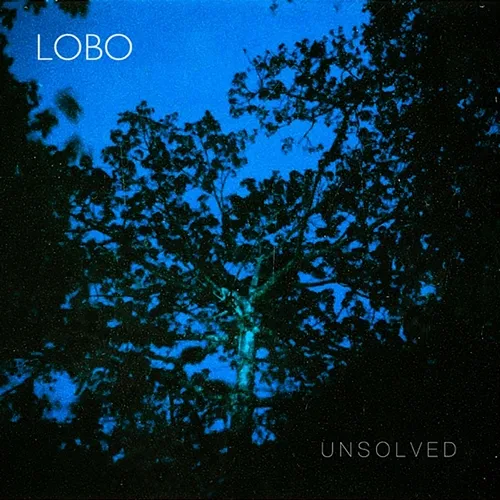 Unsolved Lobo, Noel Morroni, Dan Pocetti